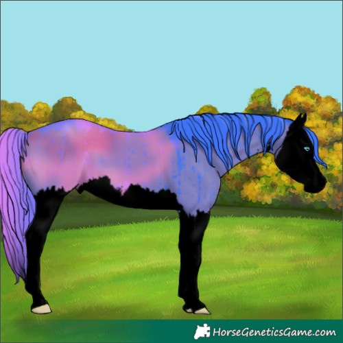 Horse Color:Void Watercolor White Spotted Smoky Grullo Splash Brindle 