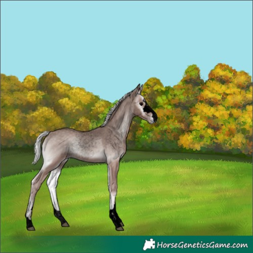 Horse Color:Void Platinum Silver Blue Onyx 