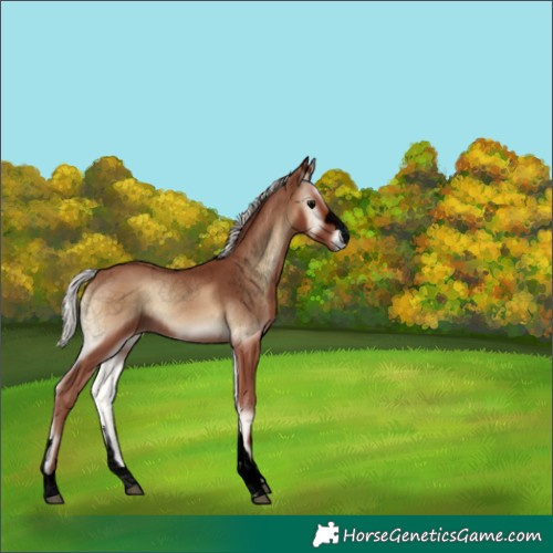 Horse Color:Void Silver Blue Onyx 