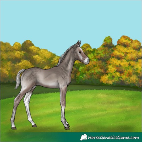 Horse Color:Void Platinum Silver Blue Onyx 