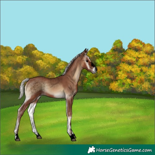 Horse Color:Void Silver Blue Onyx 