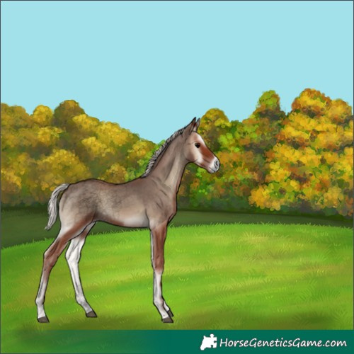 Horse Color:Void Silver Blue Onyx 