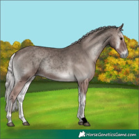 Horse Color:Void Platinum Silver Blue Onyx 