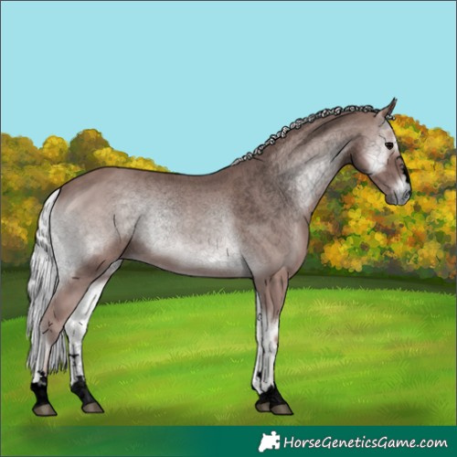 Horse Color:Void Platinum Silver Blue Onyx 