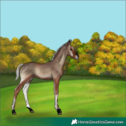 Horse Color:Void Silver Blue Onyx 