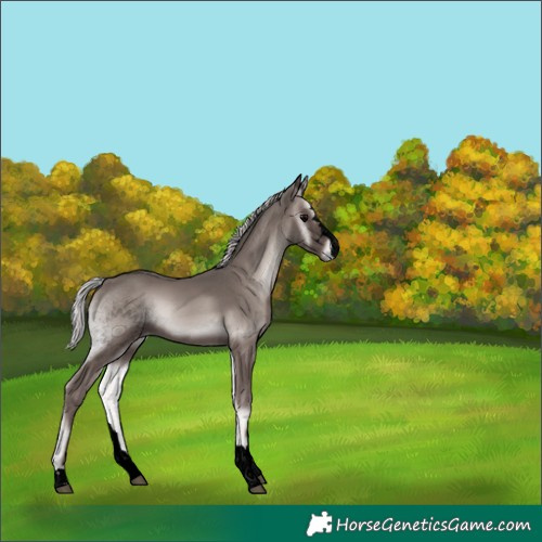 Horse Color:Void Platinum Silver Blue Onyx 