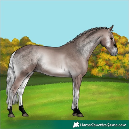 Horse Color:Void Platinum Silver Blue Onyx 