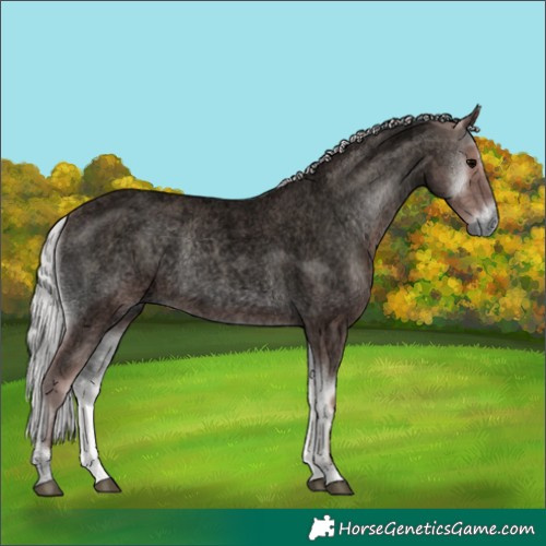 Horse Color:Void Platinum Silver Blue Onyx Roan 
