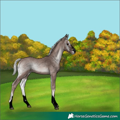 Horse Color:Void Platinum Silver Blue Onyx