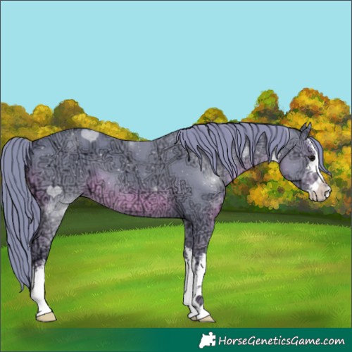 Horse Color:Watercolor White Spotted Smoky Black Ice 