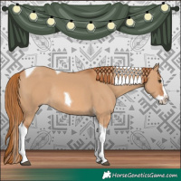 Horse Color:Red Dun Splash Tobiano Rabicano