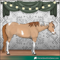 Horse Color:Red Dun Splash Tobiano Rabicano 