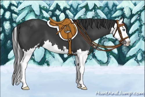 Horse Color:Black Sabino Splash