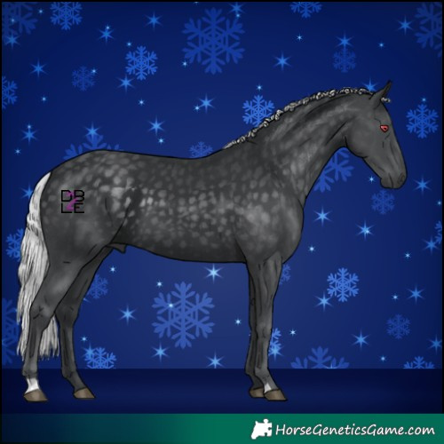 Horse Color:Silver Black Chinchilla 