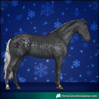 Horse Color:Silver Black Chinchilla 