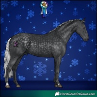 Horse Color:Silver Black Chinchilla 