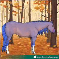 Horse Color:Watercolor Liver Red Dun 