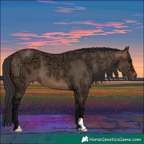 Horse Color:Bay Ice Dun 