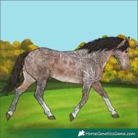 Horse Color:Brown Ice Tobiano