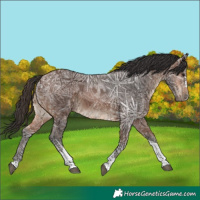 Horse Color:Brown Ice Tobiano 