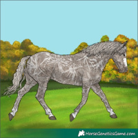 Horse Color:Silver Smoky Black Ice