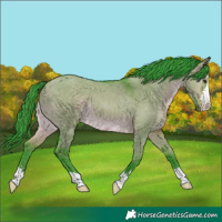 Horse Color:Watercolor Brown Dun