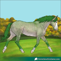 Horse Color:Watercolor Brown Dun 