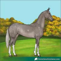 Horse Color:White Spotted Silver Black Tobiano 
