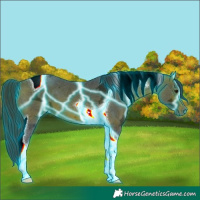 Horse Color:Thunderstruck Bay Ice Tobiano 