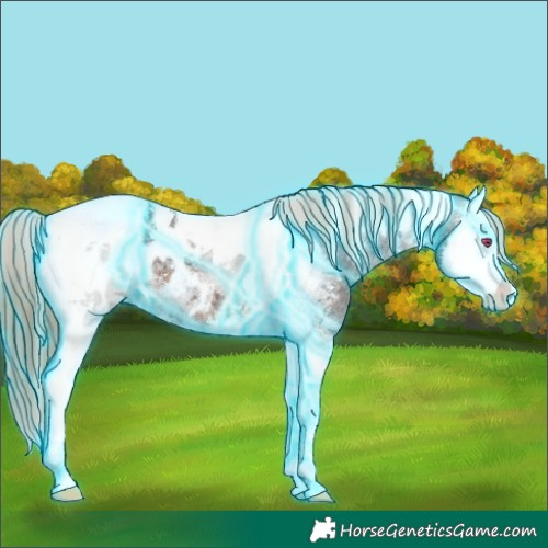 Horse Color:Thunderstruck Brown Chinchilla Ice Splash Tobiano Blanket