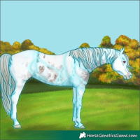 Horse Color:Thunderstruck Brown Chinchilla Ice Splash Tobiano Appaloosa 
