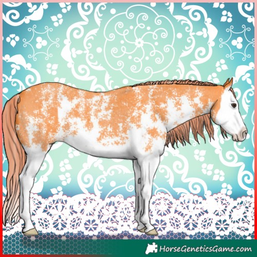 Horse Color:Watercolor Liver Chestnut Sabino Splash 