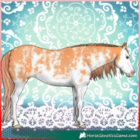 Horse Color:Watercolor Liver Chestnut Sabino Splash 