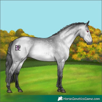 Horse Color:Gray Bay Chinchilla 