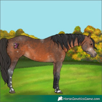 Horse Color:Brown 