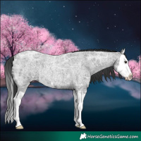 Horse Color:Blue Ice Roan Splash