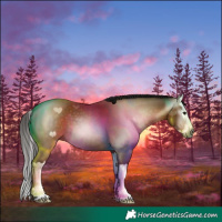 Horse Color:Gray Bay Splash 