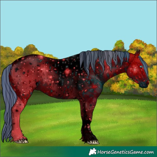 Horse Color:ERROR: UNKNOWN ANOMALY