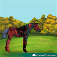 Horse Color:ERROR: UNKNOWN ANOMALY