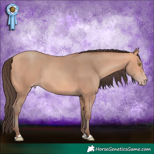 Horse Color:Amber Champagne Rabicano 