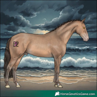 Horse Color:Sable Champagne 