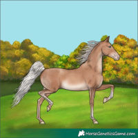 Horse Color:Silver Sable Champagne Tobiano