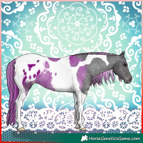 Horse Color:Painted Black Tobiano Appaloosa Rabicano 