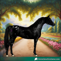 Horse Color:ERROR: UNKNOWN ANOMALY