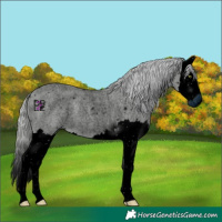 Horse Color:ERROR: UNKNOWN ANOMALY