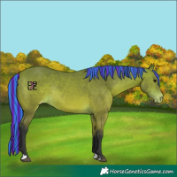 Horse Color:Platinum Painted Bay Varnish Rabicano 