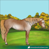 Horse Color:Gray Chestnut Varnish 