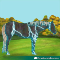 Horse Color:Thunderstruck Midnight Gold Champagne Ice 