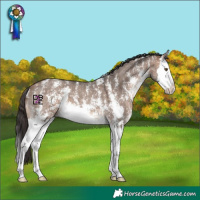 Horse Color:Bay Dun Mushroom Sabino Splash