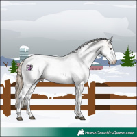 Horse Color:White Spotted Black Pearl Mushroom Sabino